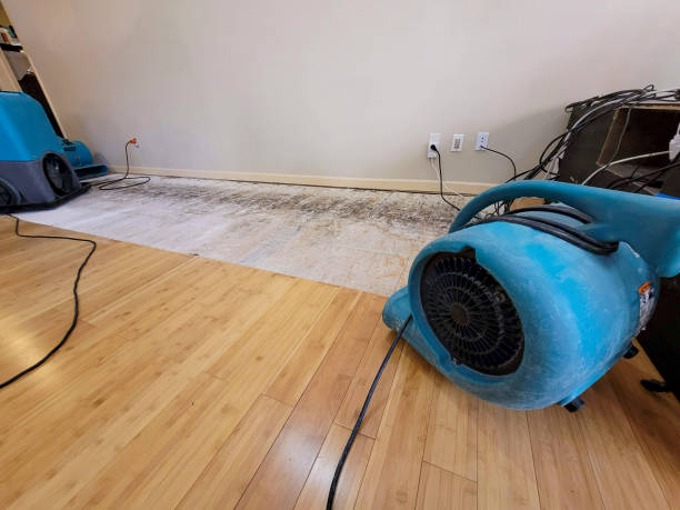 Professional Ceiling Water Damage Repair technician working in Utica, NE